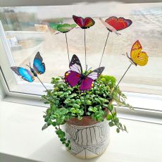 Decoratieve vlinders x6